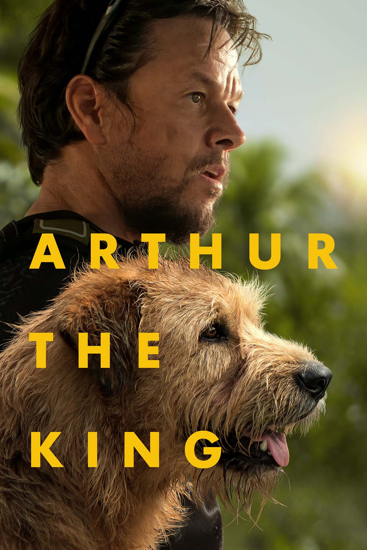 Arthur The King